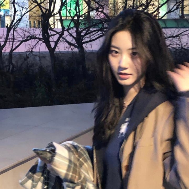 九凤家的锦鲤喵殿下